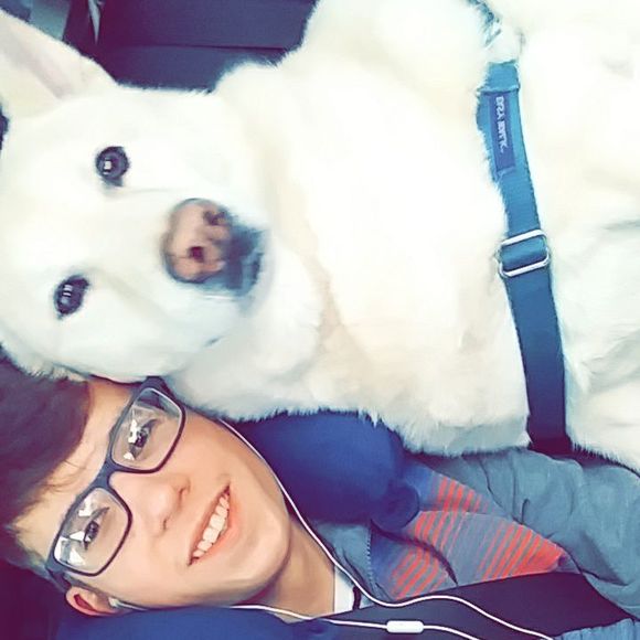 Meet your Posher, Danny - Picture 1 of 1